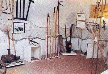 Immagine relativa a: Acquario e Museo Etnografico del Po